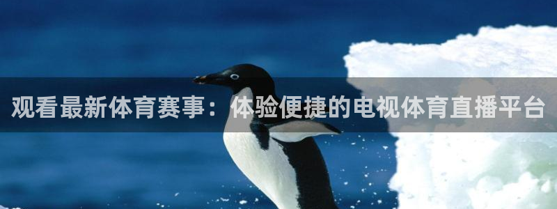 观看最新体育赛事：体验便捷的电视体育直播平台